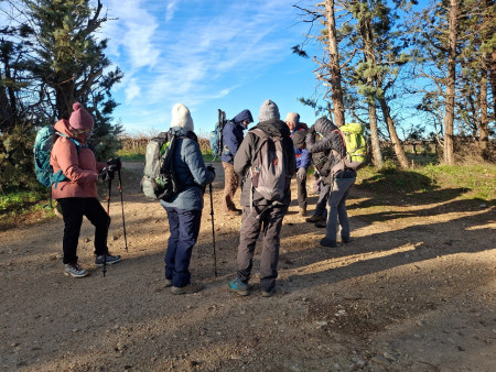 petite halte au soleil....